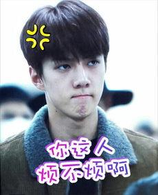 世勋的表情包,捕捉明星的喜怒哀乐